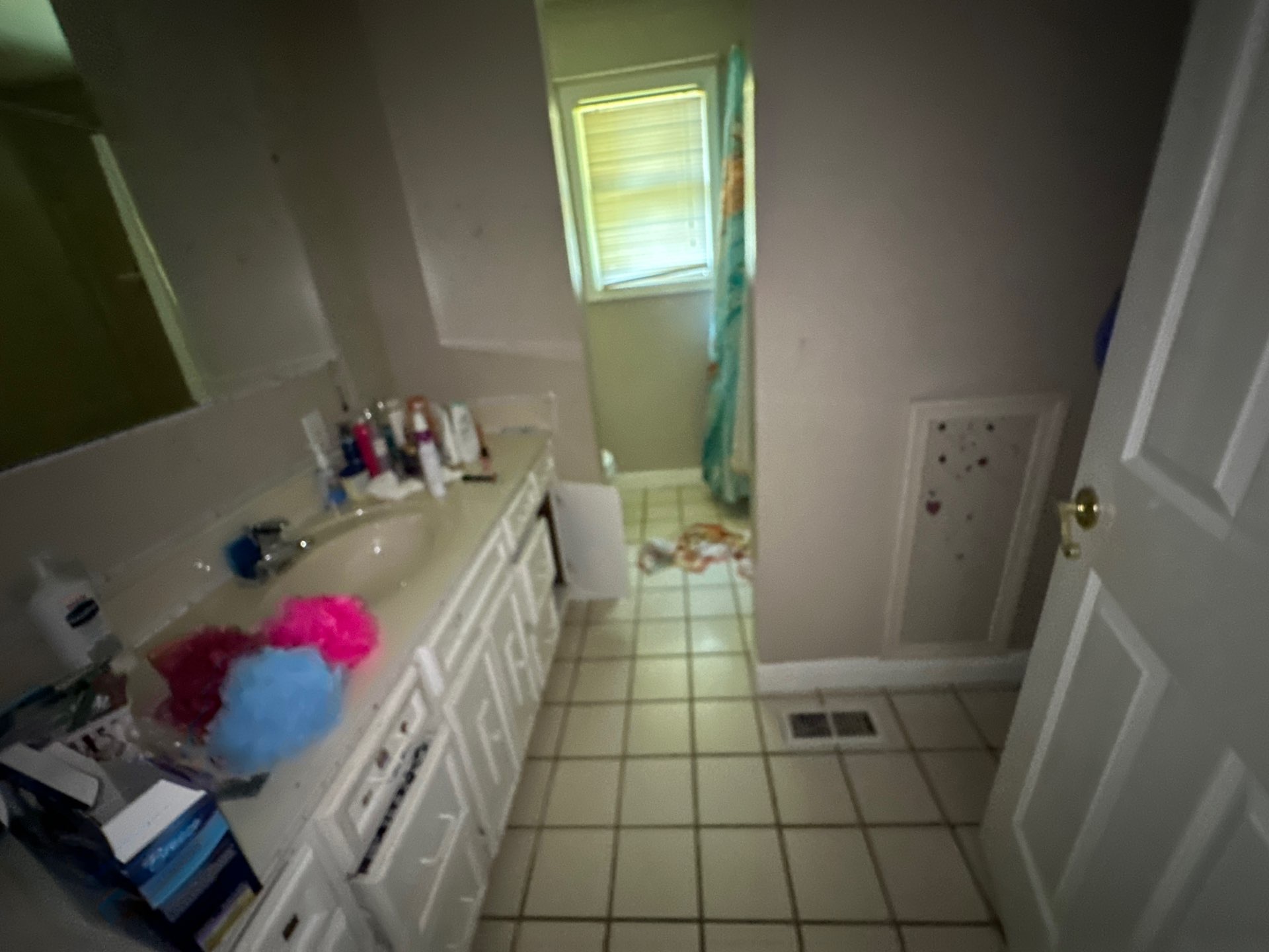 4bd/3ba home with additonal 2bd/2ba Mobile on 3 acres in Evensville! photo 5