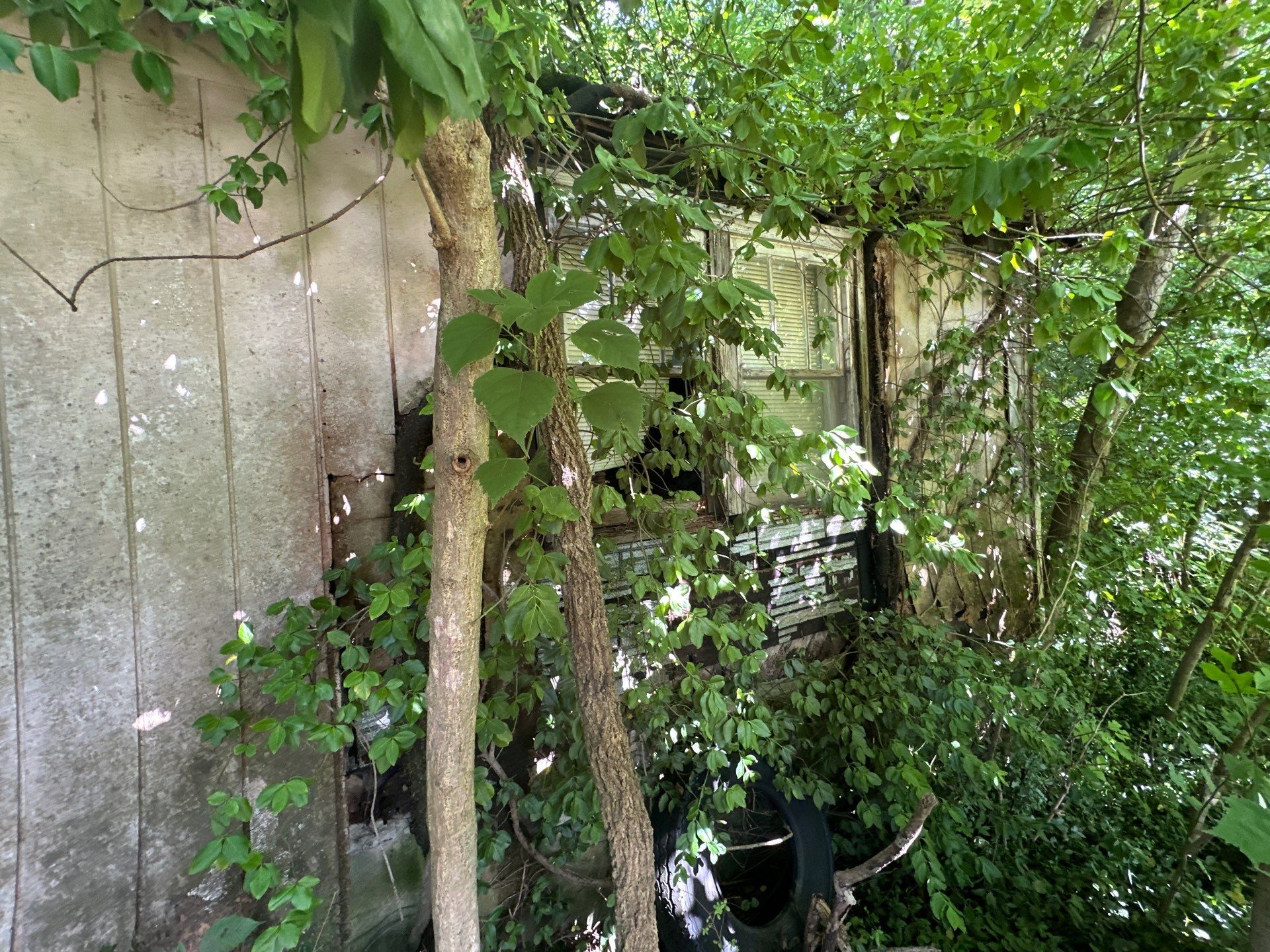 .17 acre lot available in Limestone! photo 4