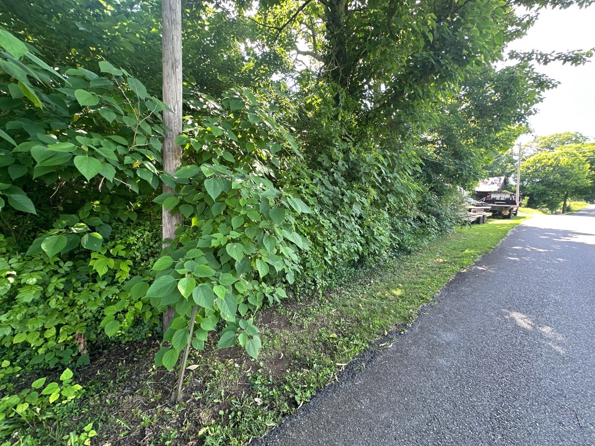 .17 acre lot available in Limestone! photo 5