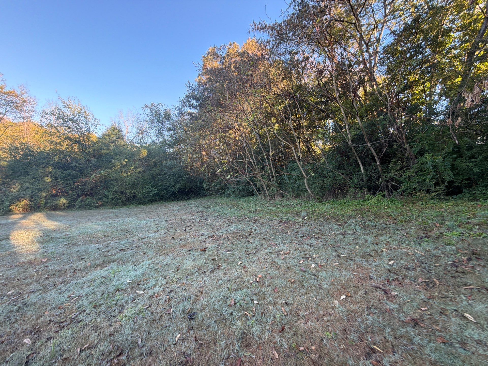 515 Long Hollow Road available in Maryville photo 3