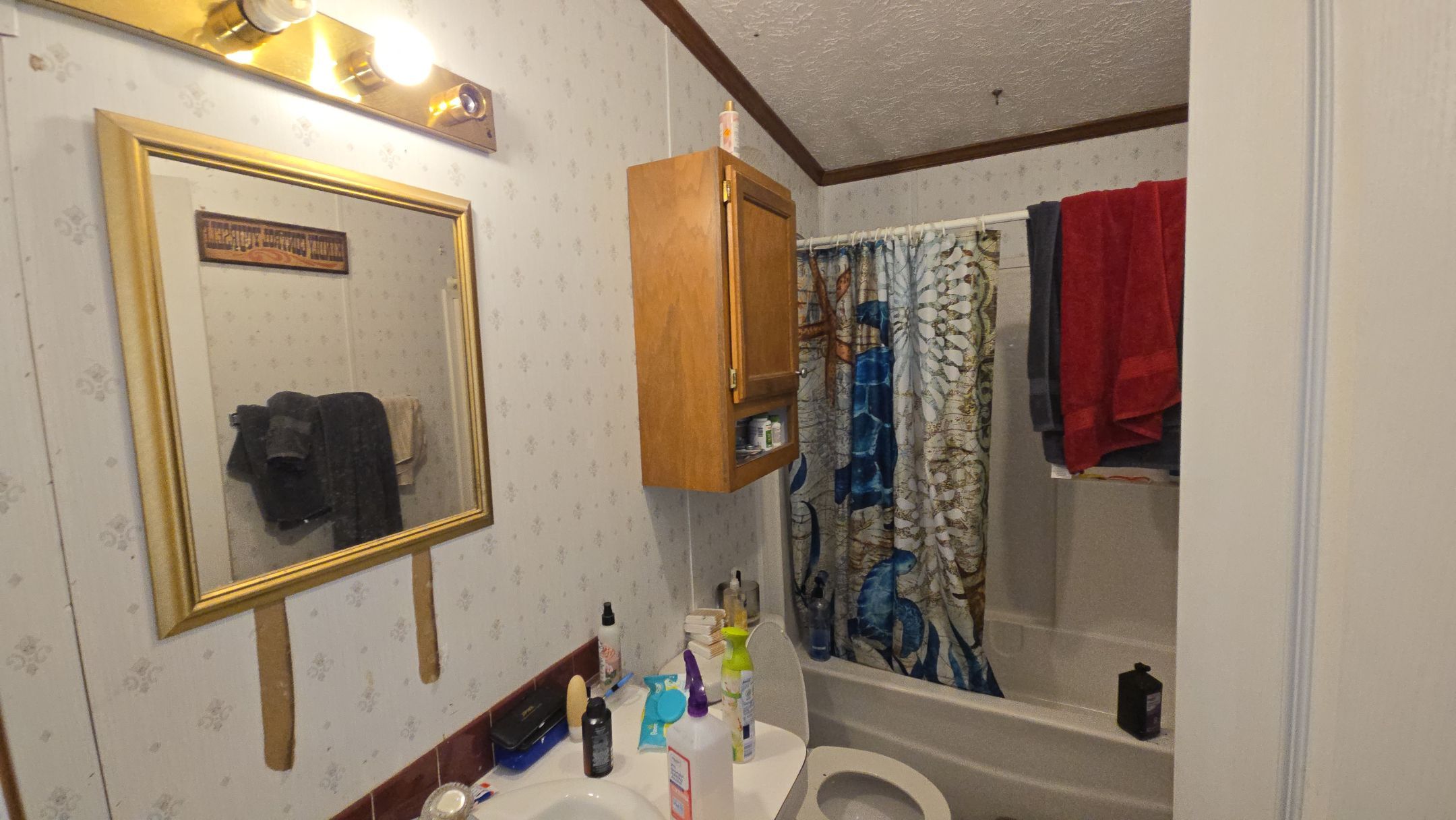 3bd/2bath home available in Crossville! photo 4