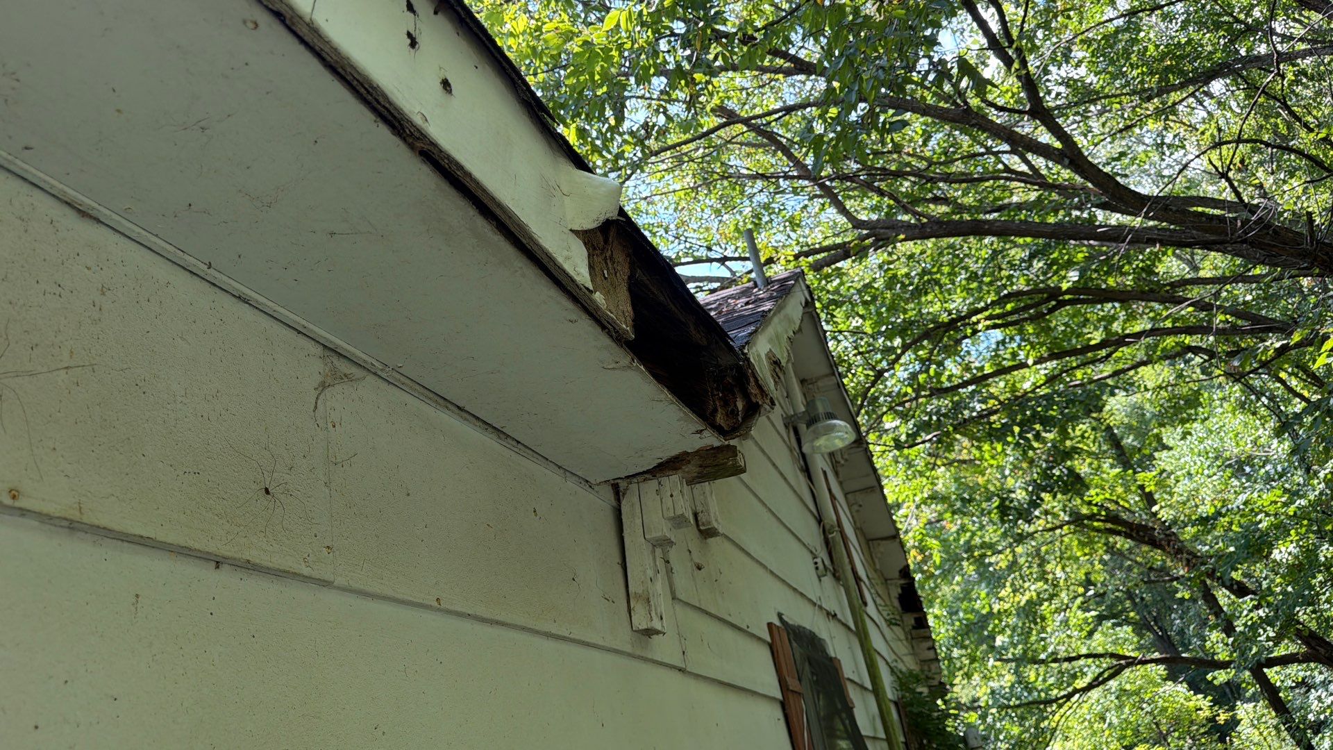 2bd/1ba home available in Johnson City! photo 5