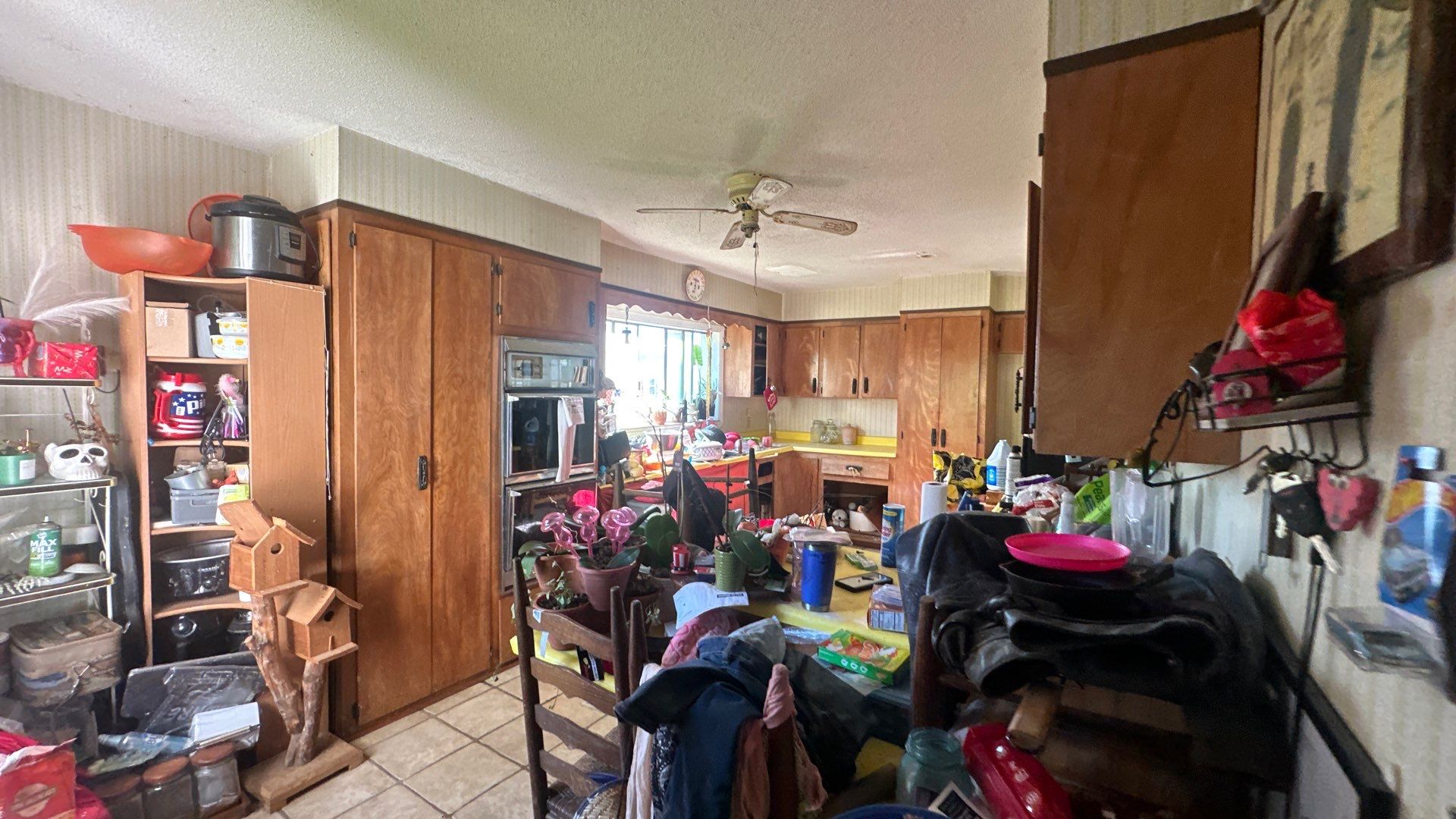 5bd/3bath homes available in Maryville! photo 5