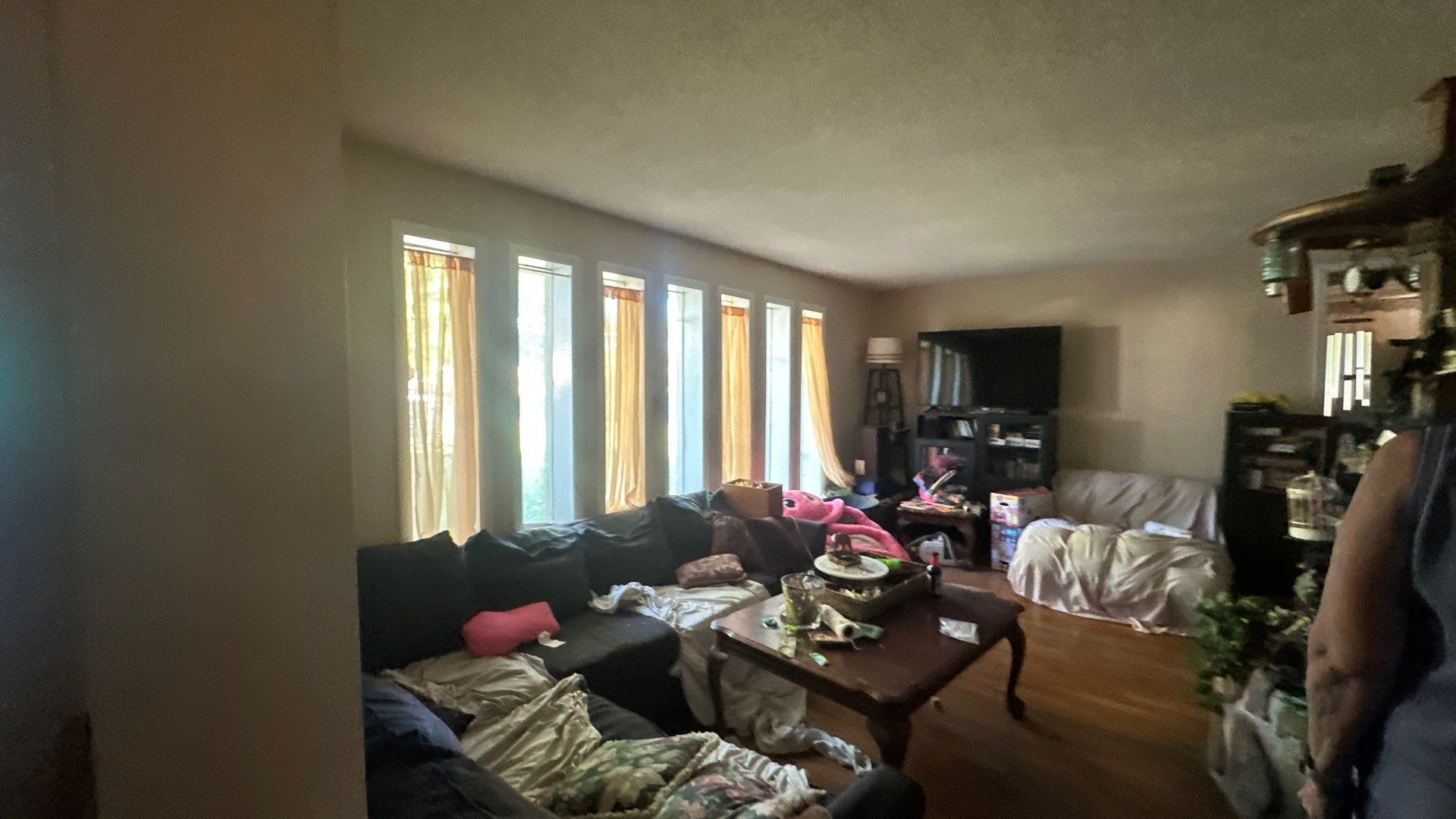 5bd/3bath homes available in Maryville! photo 3